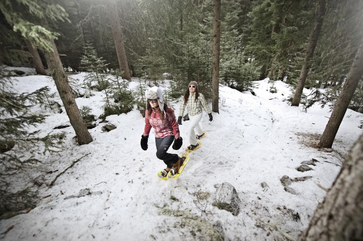 Winter- und Schneeschuhwandern im Pitztal